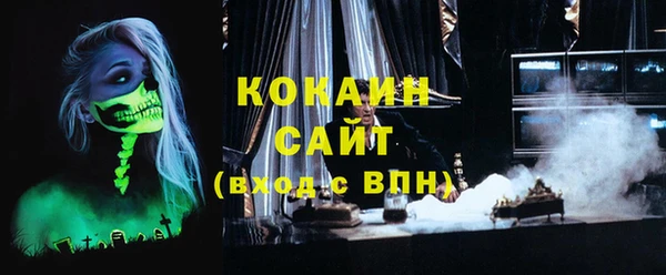 хмурый Белокуриха