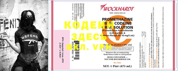 хмурый Белокуриха