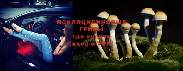 хмурый Белокуриха