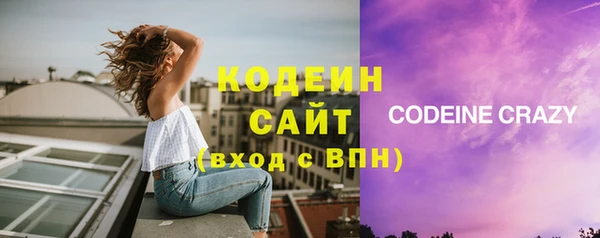 хмурый Белокуриха