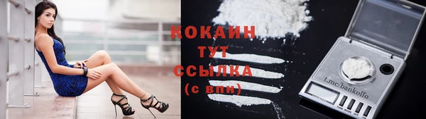 хмурый Белокуриха