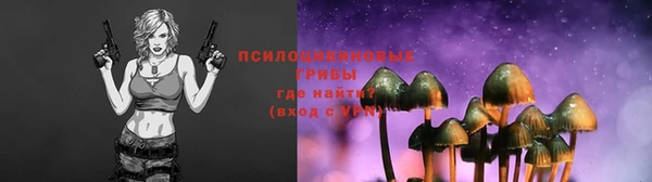 PSILOCYBIN Белоозёрский