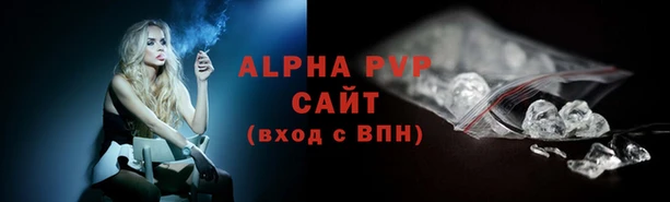хмурый Белокуриха