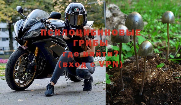 PSILOCYBIN Белоозёрский