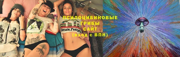 хмурый Белокуриха