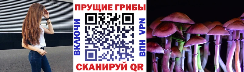 Галлюциногенные грибы мицелий  Валуйки 