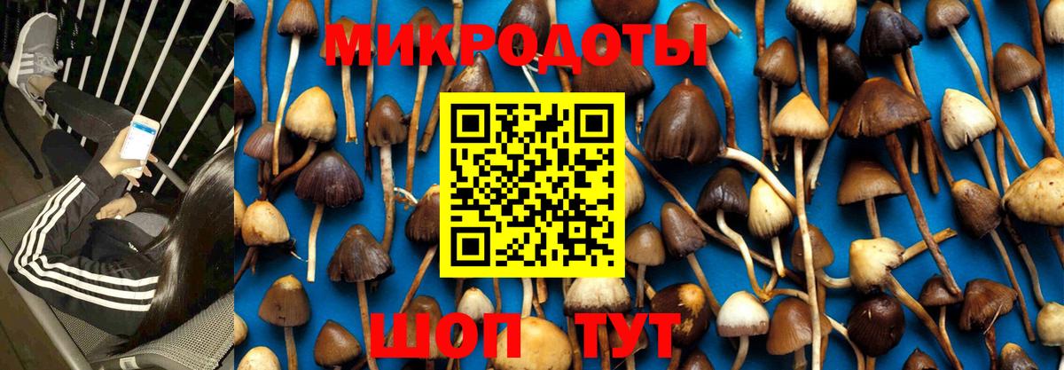 Валуйки  Псилоцибиновые грибы мицелий  где продают   Вход с VPN 
